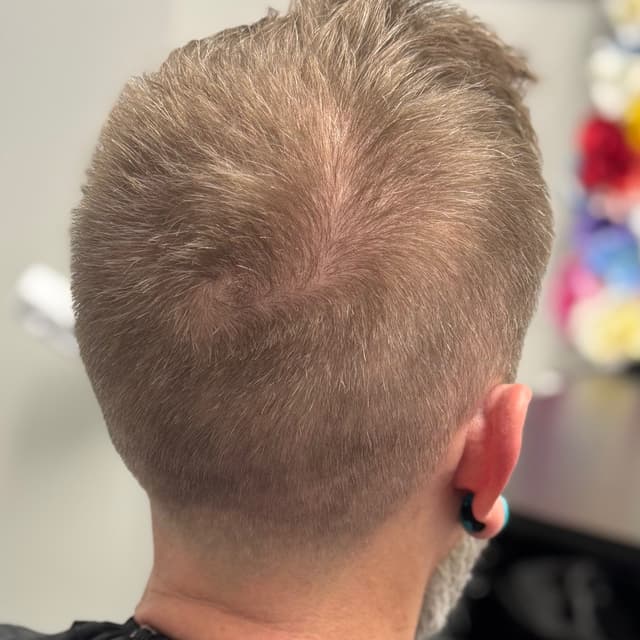Royal Court: Faded at Queen’s Touch Salon in Omaha, NE